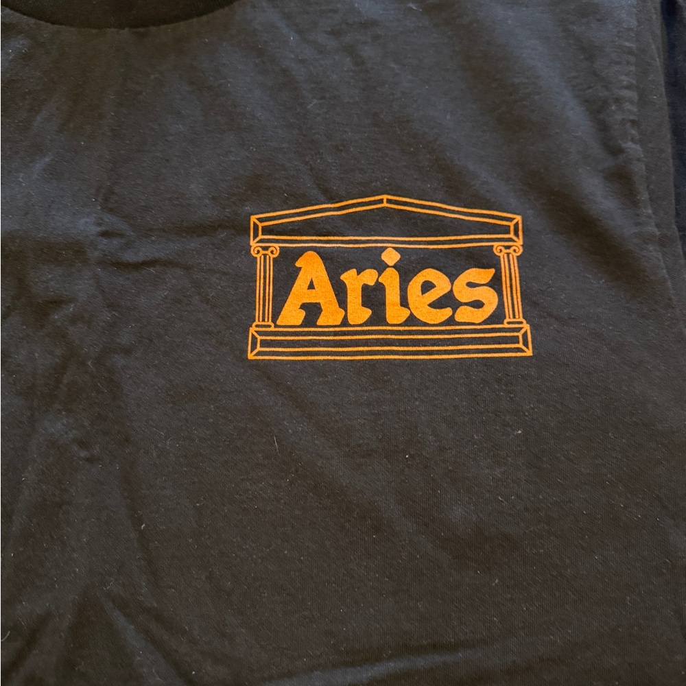 Aries - Picture 2 of 5